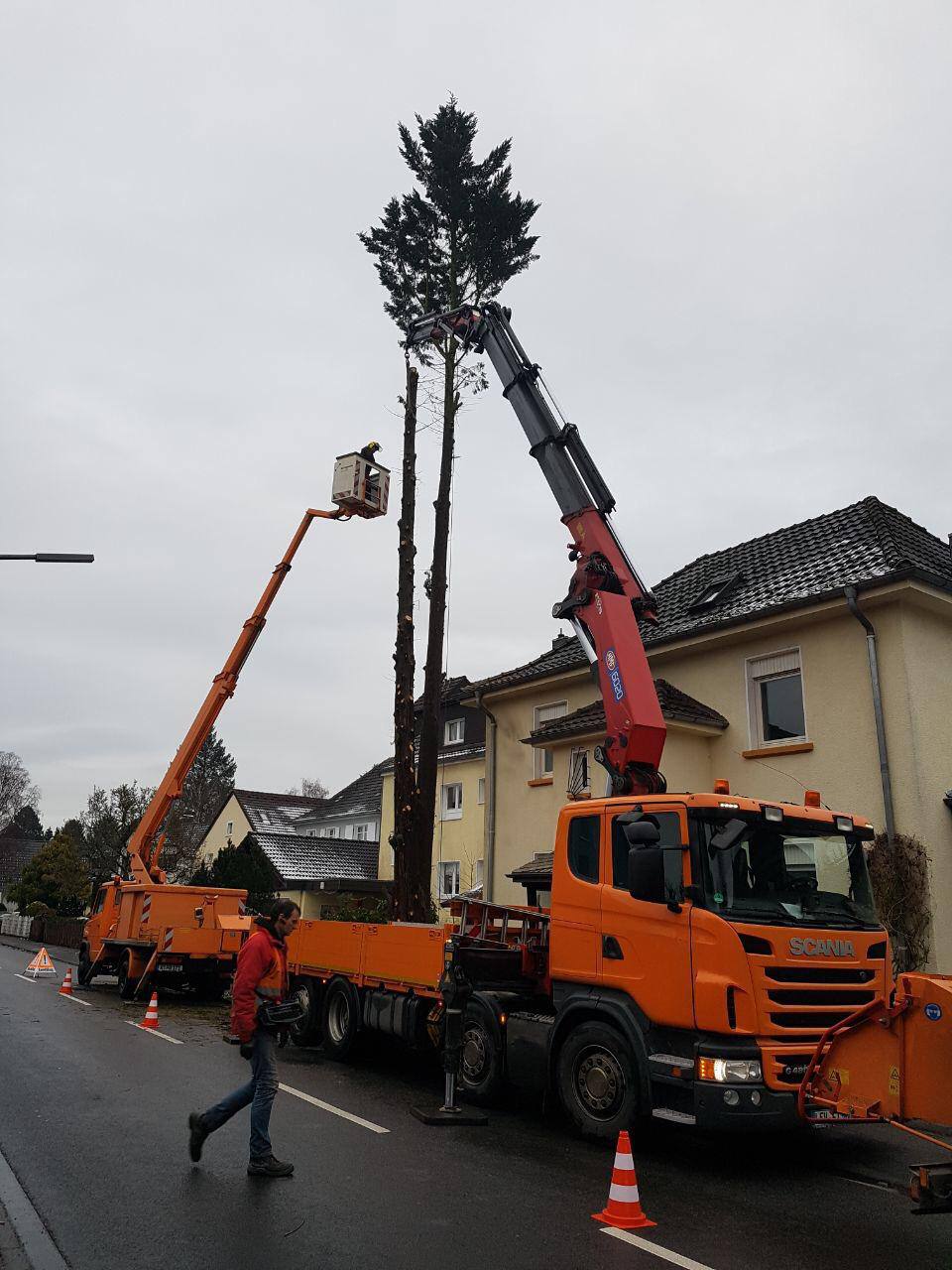 Baumarbeiten mit Kran und Hubarbeitsbühne
